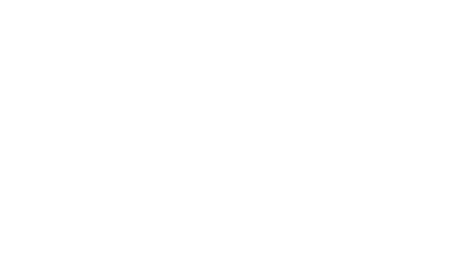 Hse Logo Lg